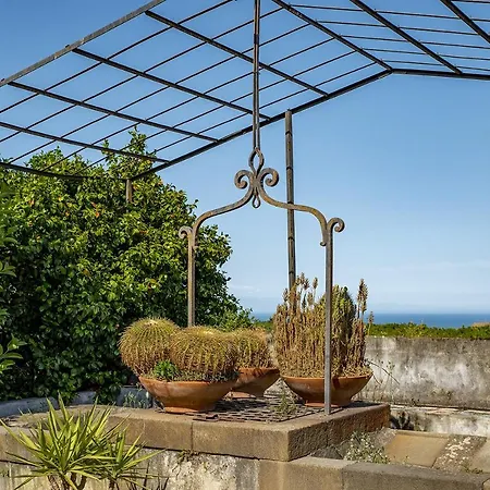 Loft Sole By Wonderful Italy